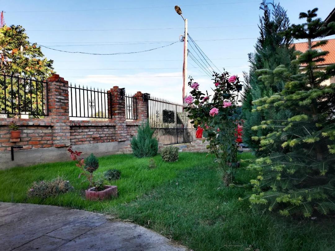 Отель Casa Alba Нэводари Экстерьер фото