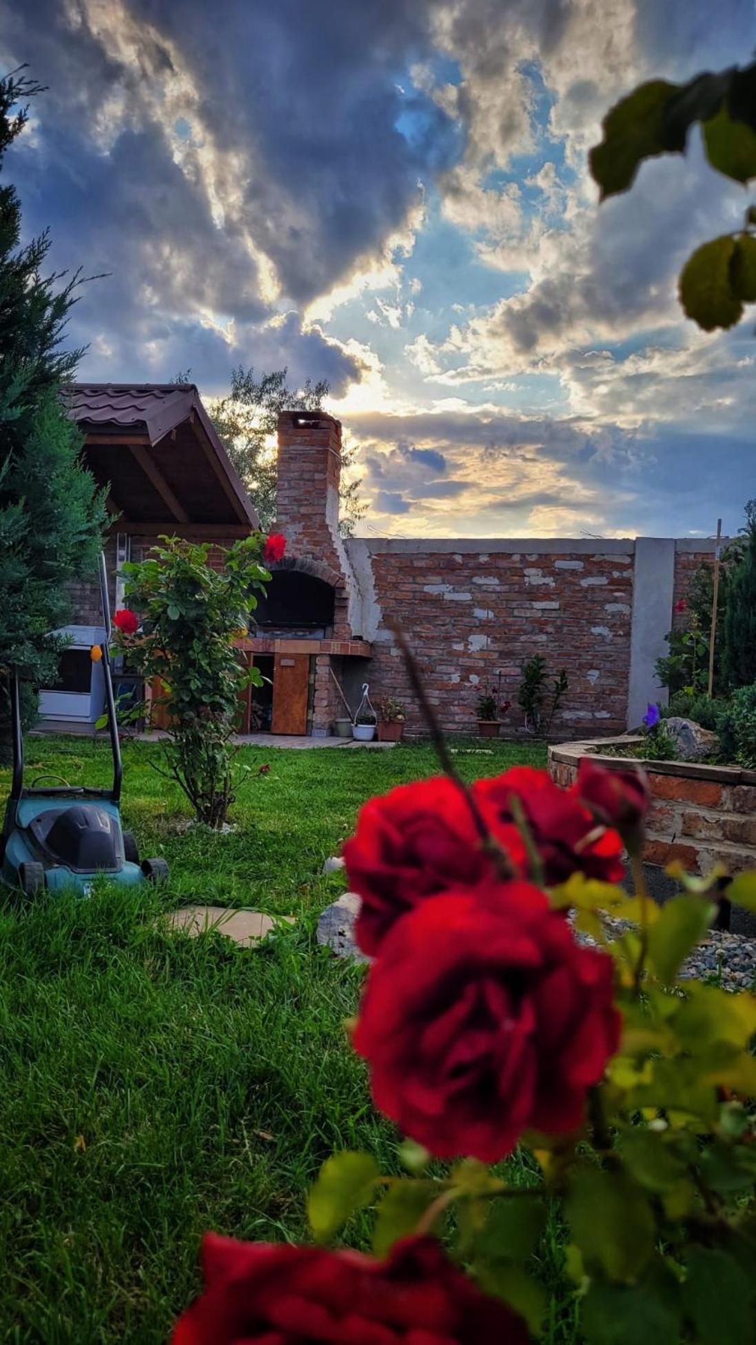 Отель Casa Alba Нэводари Экстерьер фото