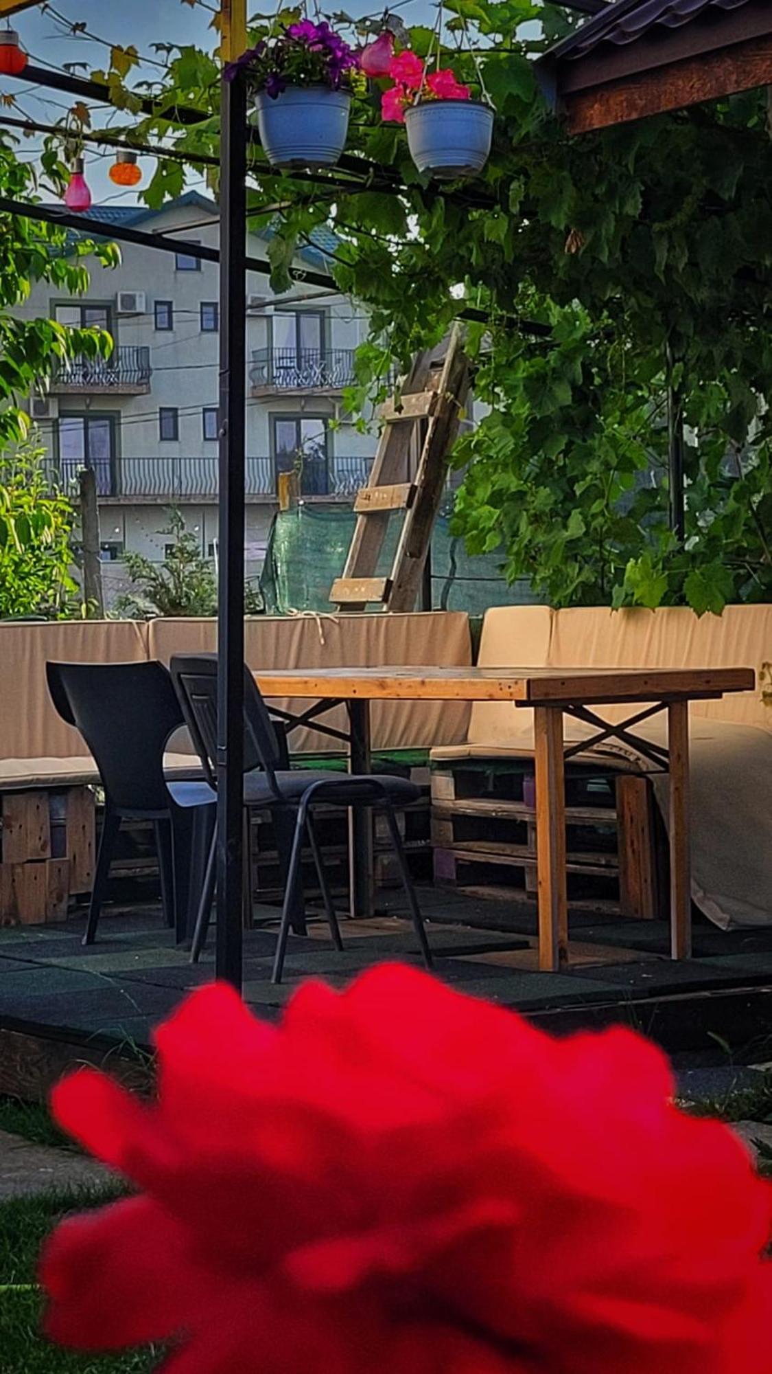 Отель Casa Alba Нэводари Экстерьер фото