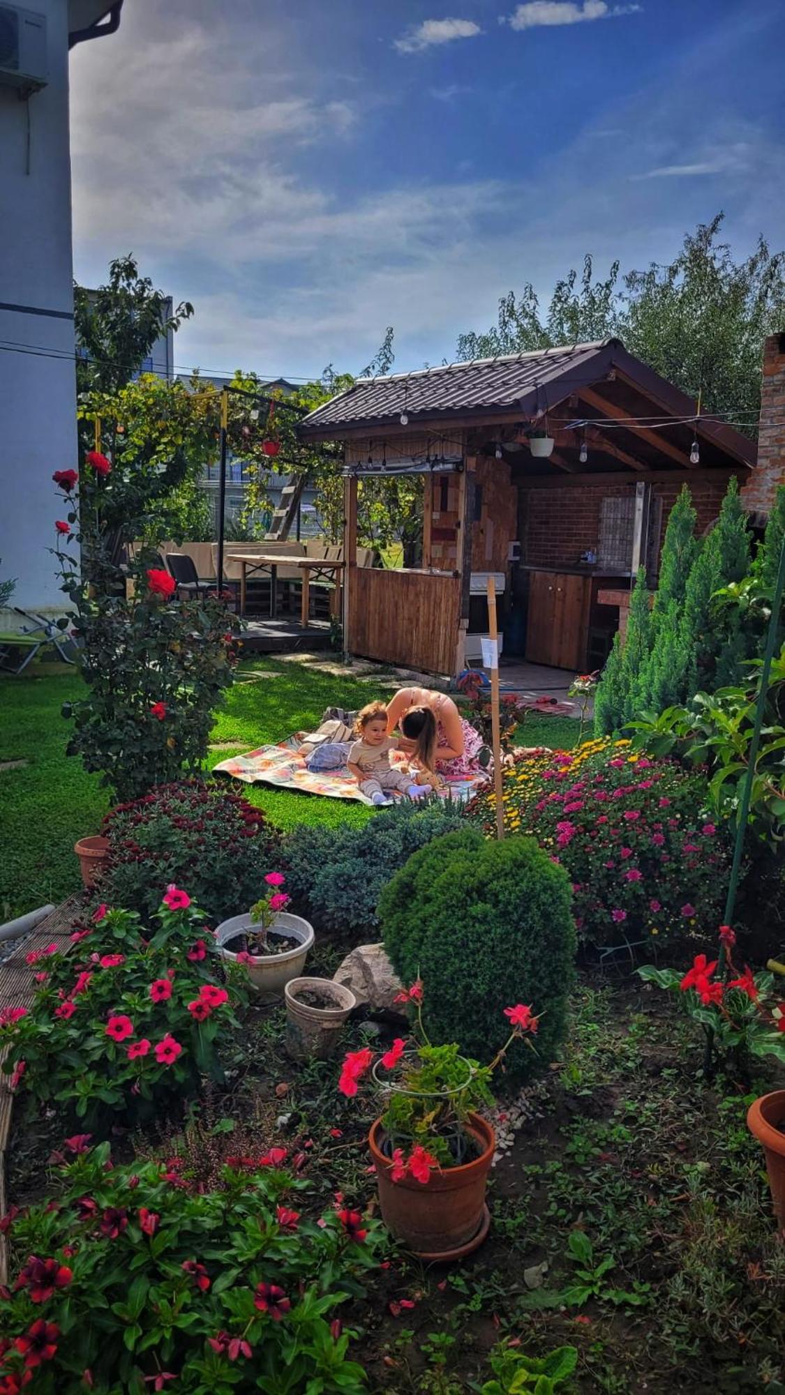 Отель Casa Alba Нэводари Экстерьер фото